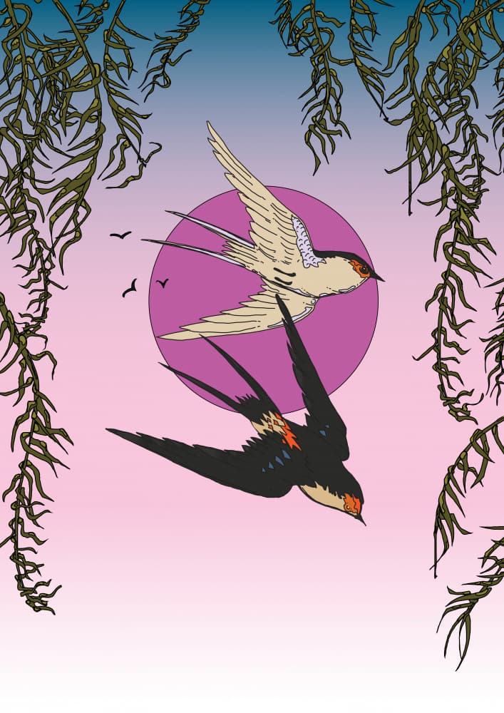 Graceful Swallows Sky by Nicholas — canvas wall art