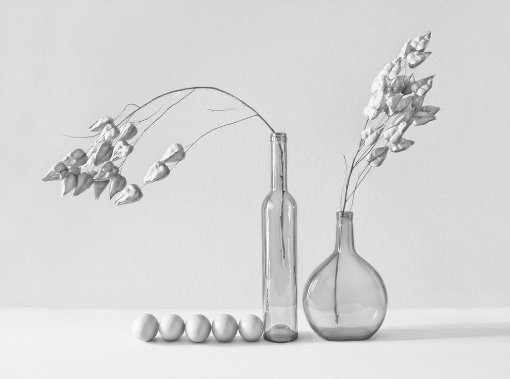 Minimalist Pods And Eggs by Dimitar Lazarov - Dim — canvas wall art