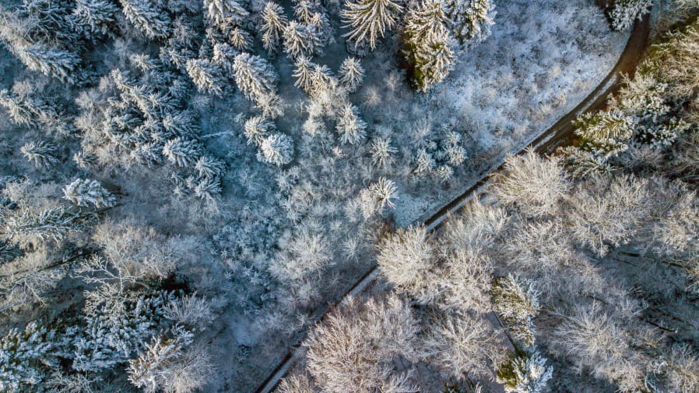 Winding Winter Forest Road by Urs Zimmermann — canvas wall art