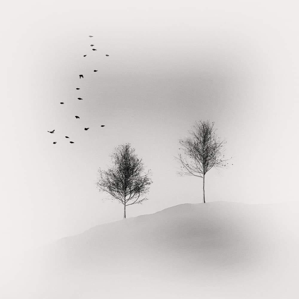 Winter Trees Flying Birds by Marchevca Bogdan — canvas wall art