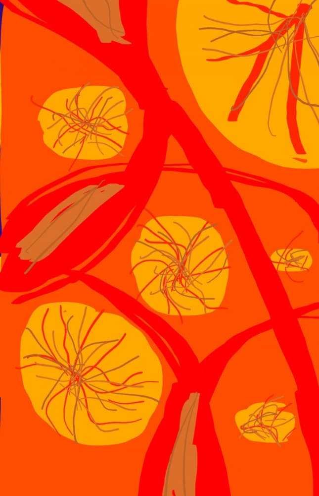 Vibrant Orange Abstraction by Olea Huuska — canvas wall art