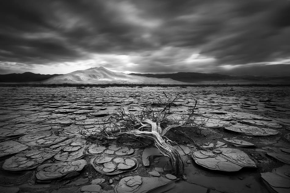 Stark Desert Landscape by Chris Moore — canvas wall art