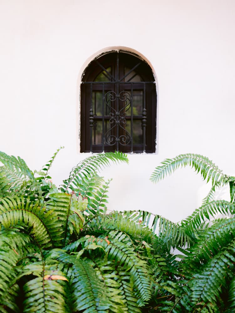 Santo Domingo Window by Raisa Zwart — canvas wall art