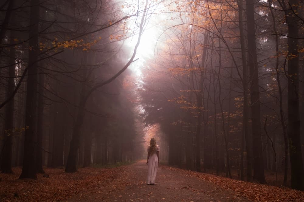 Misty Autumn Path by Gabriela Slegrova — canvas wall art