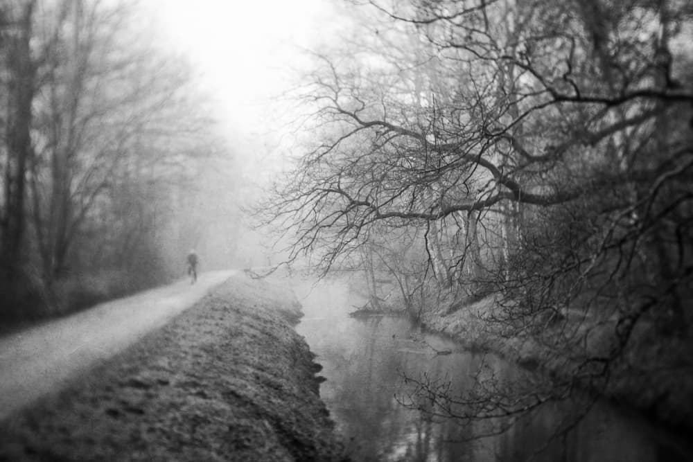 Misty Canal Walk by Adam Dauria ☂ — canvas wall art
