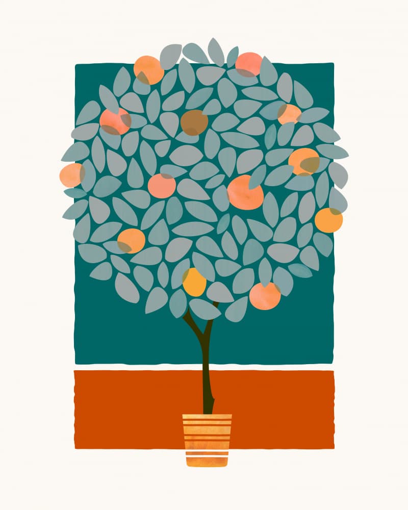 Orange Tree by Kristian Gallagher — canvas wall art