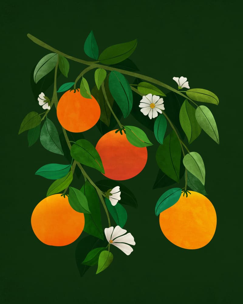 Oranges and Blossoms Night by Kristian Gallagher — canvas wall art