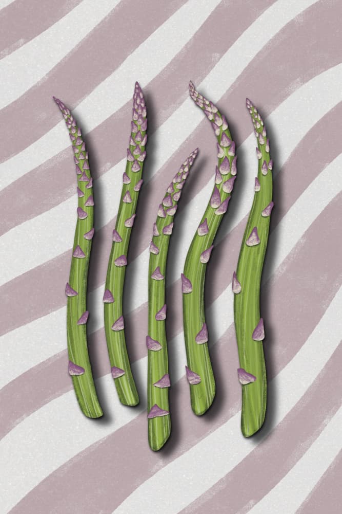 Vibrant Asparagus Spears by EMELIEmaria — canvas wall art