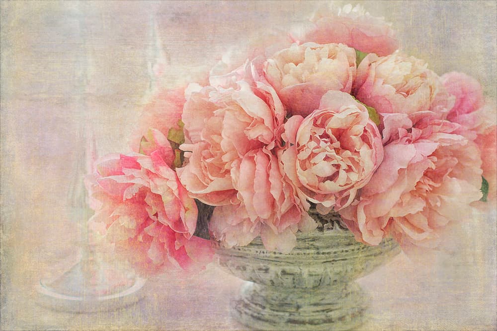 Romantic Pink Peonies by Gaille Gray — canvas wall art