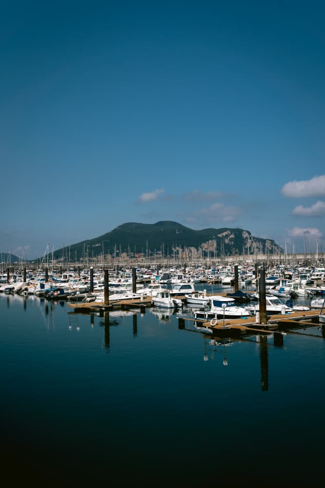 Marina Boats Mountain View by Aimee Giles — canvas wall art