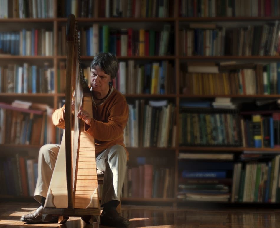 Harpist In The Library by Christoph Hessel — canvas wall art