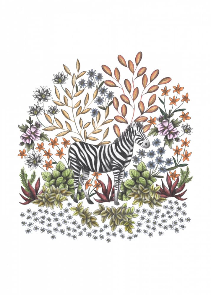 Zebra in Botanical Garden by Cecilia Battaini — canvas wall art