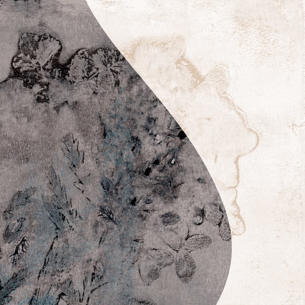 Fluid Organic Layers