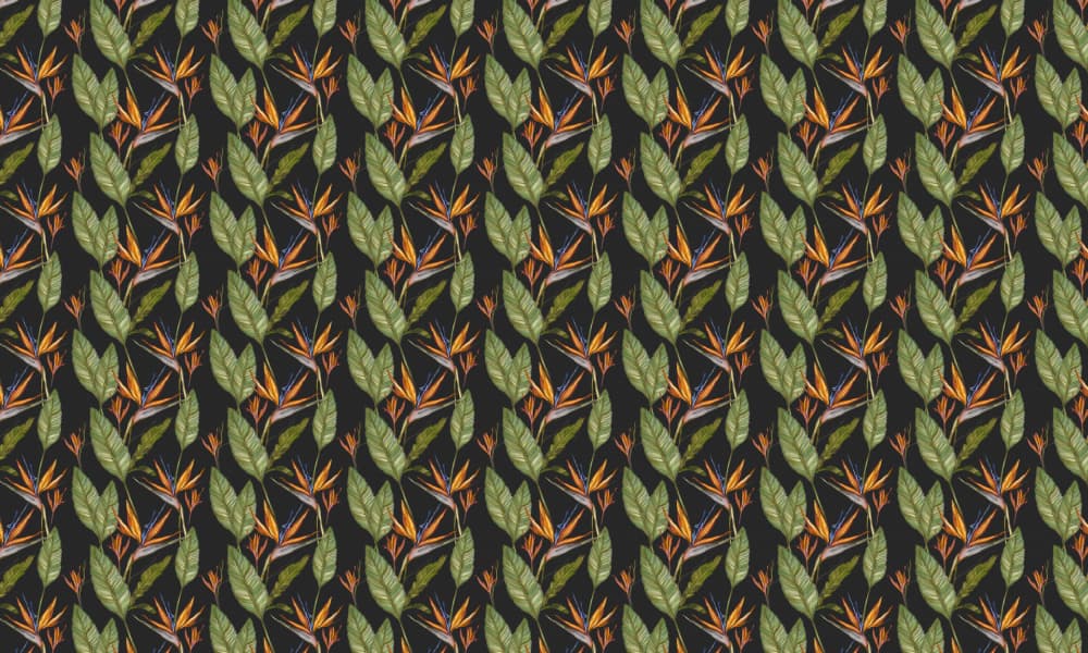 Vibrant Bird Paradise Pattern by Josie George — canvas wall art