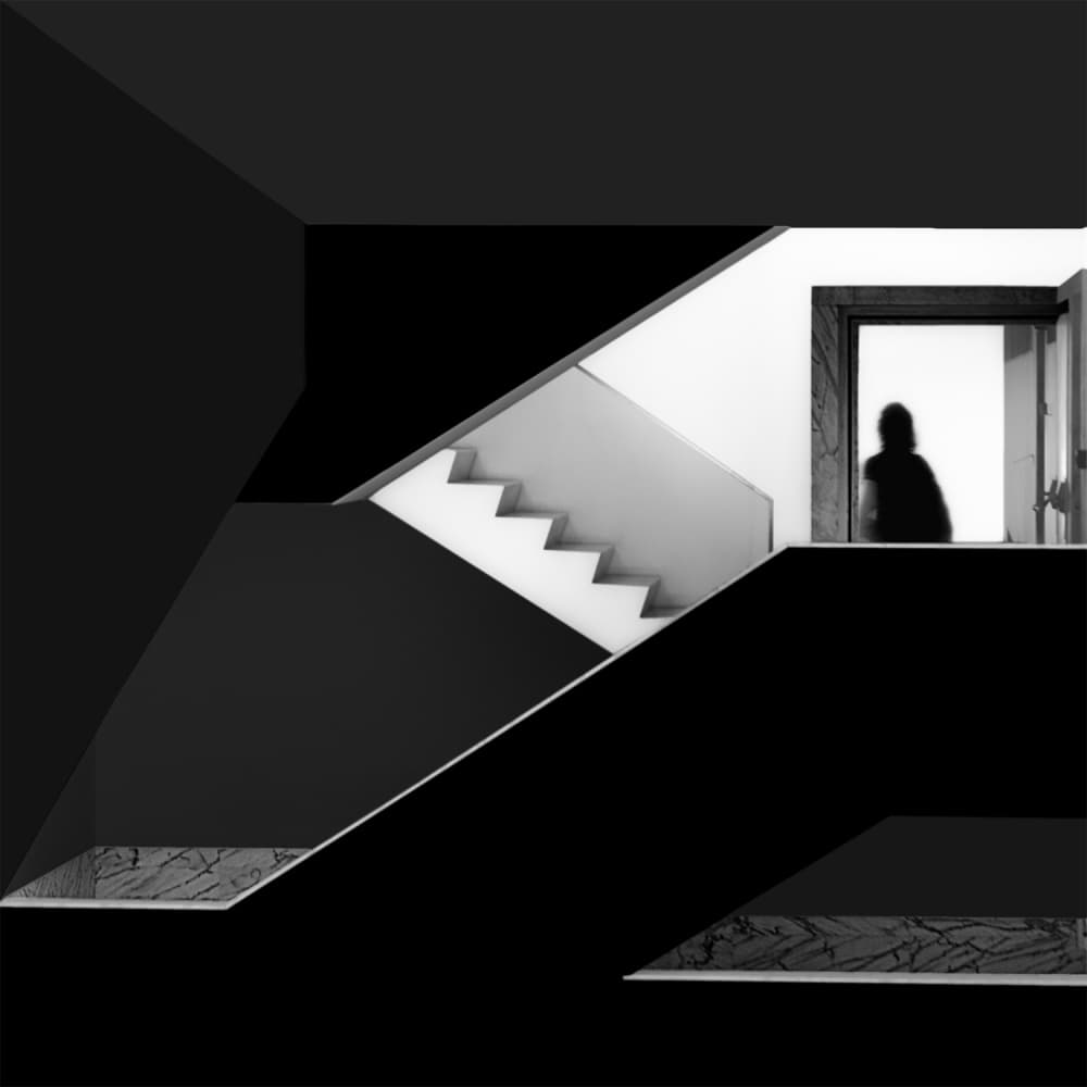 Geometric Silhouette by Paulo Abrantes — canvas wall art