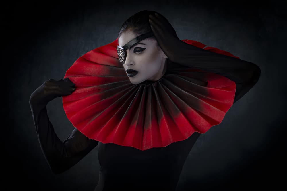 Gothic Red Ruff Portrait by DEBASISH CHATTOPADHYAY — canvas wall art