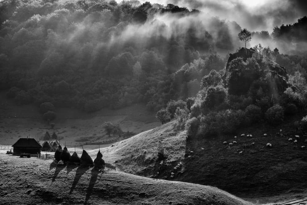 Misty Mountain Morning by Grigore Roibu — canvas wall art