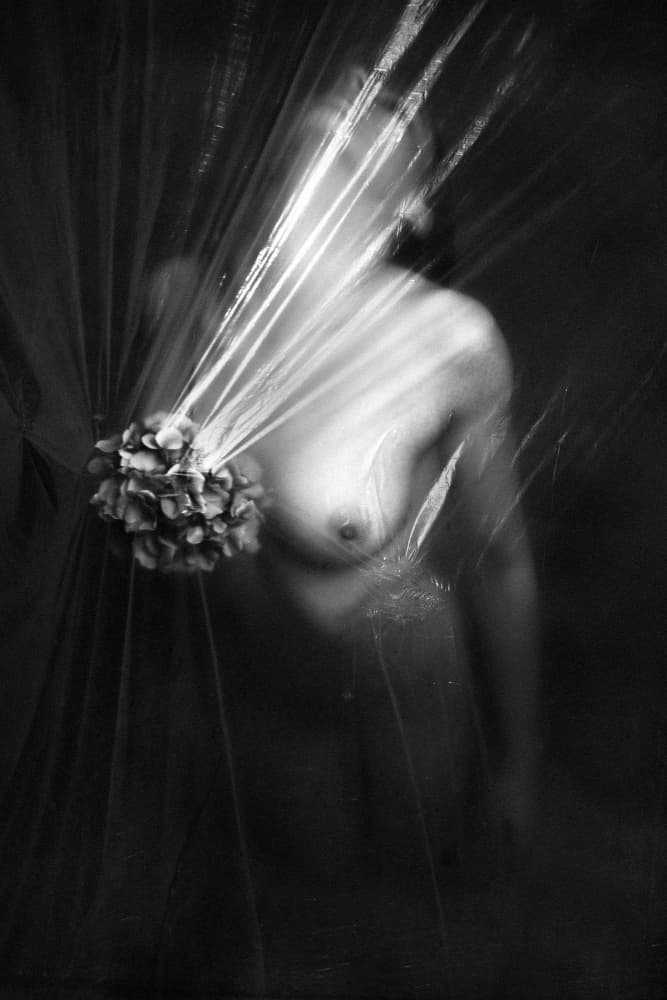 Wrapped by Marius Cinteza — canvas wall art