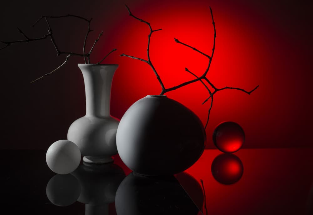 Modern Red Still Life by Evgeniy Popov — canvas wall art