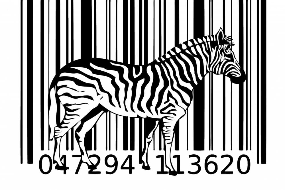 Modern Zebra Barcode by Rafal Kulik — canvas wall art