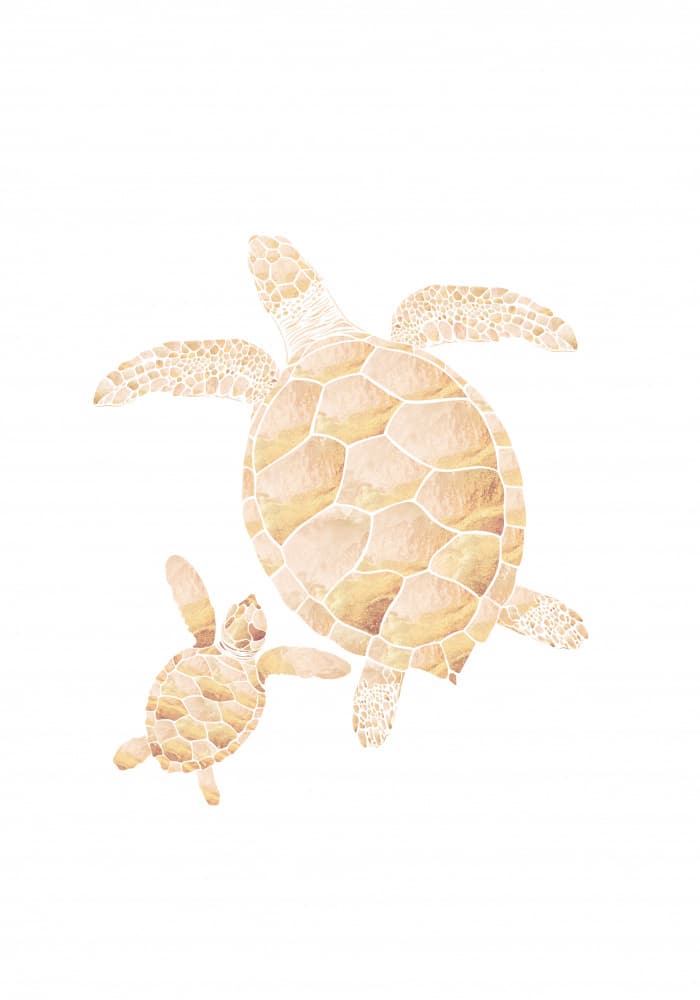 Sea Turtle Family by Sarah Manovski — canvas wall art