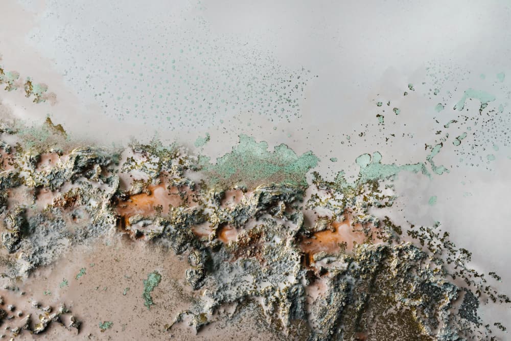 Earthly Fragments - Coastal relief art by Petra Meikle de Vlas — canvas wall art