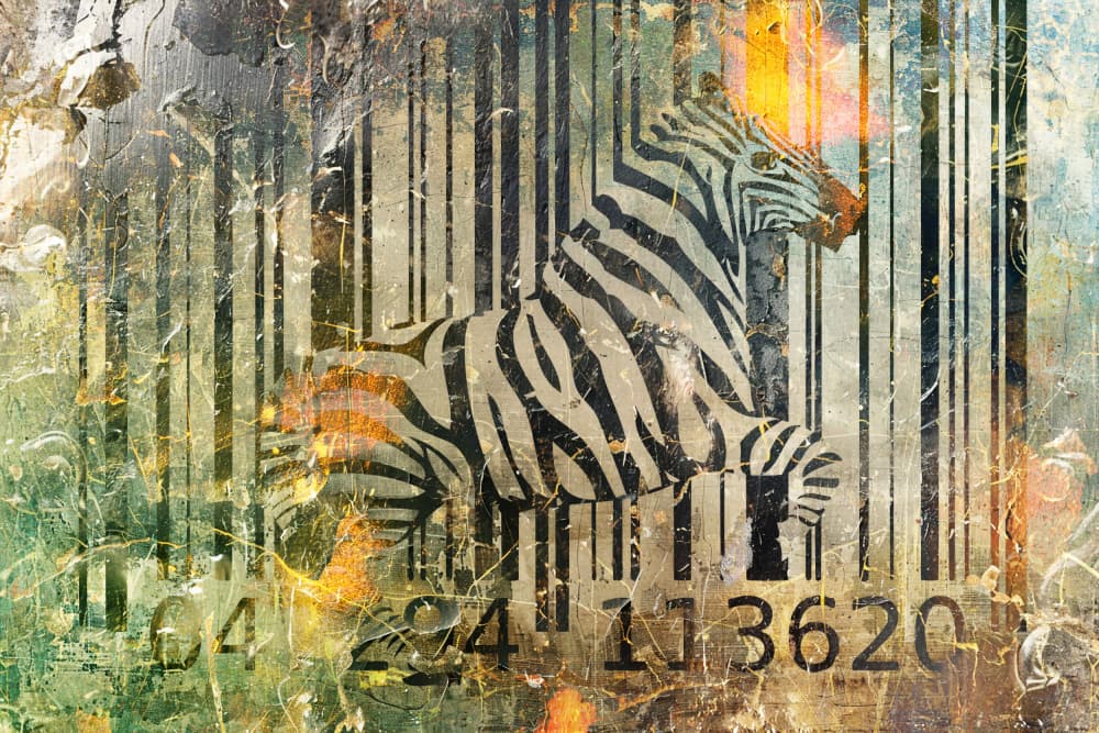 Abstract Zebra Barcode by Rafal Kulik — canvas wall art