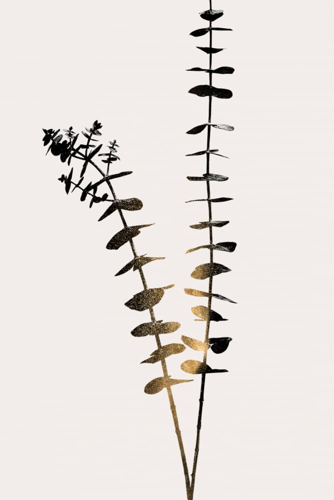Eucalyptus Dark Gold by Kubistika — canvas wall art