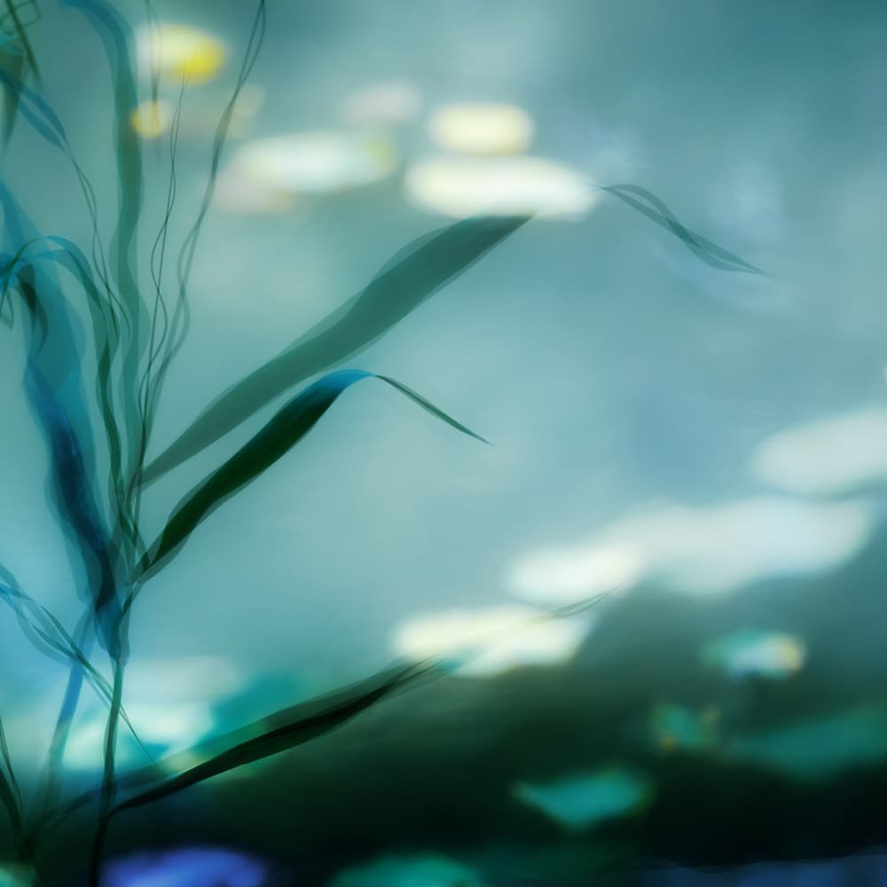 Serene Underwater Greens by Piet Flour — canvas wall art