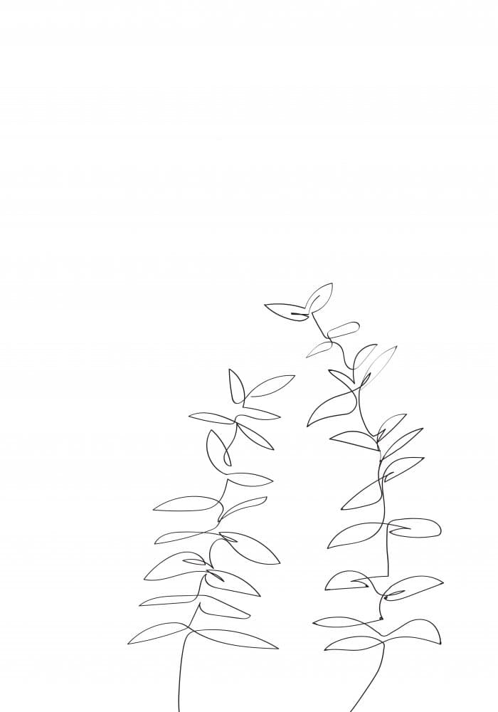 Minimalist Botanical Lines by Pictufy Studio II — canvas wall art