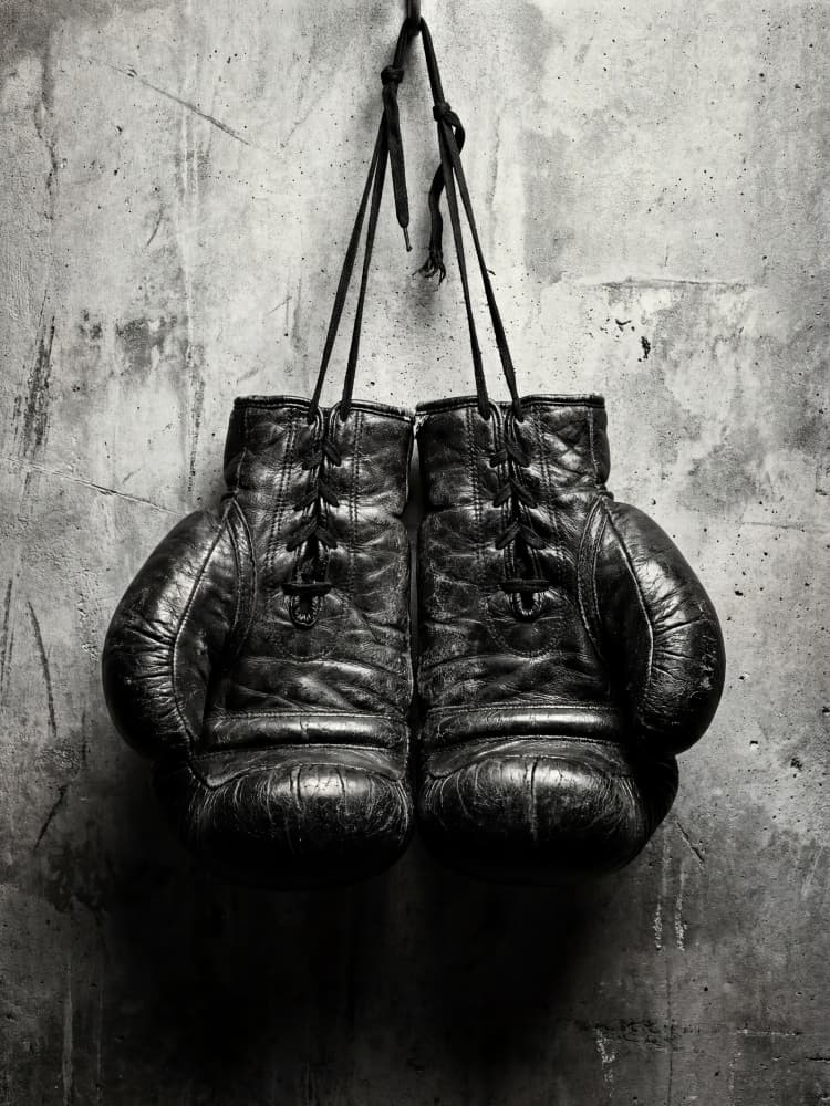 Vintage Boxing Gloves by Andreas Magnusson — canvas wall art