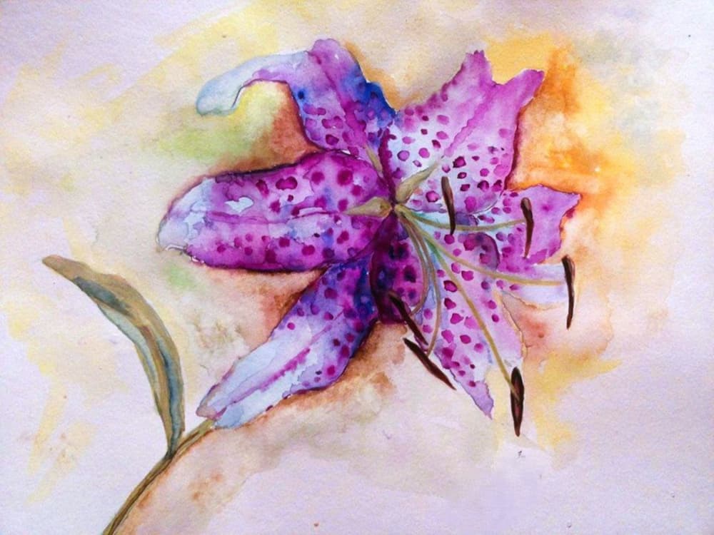 Vibrant Spotted Lily Bloom by Anda Bieza — canvas wall art