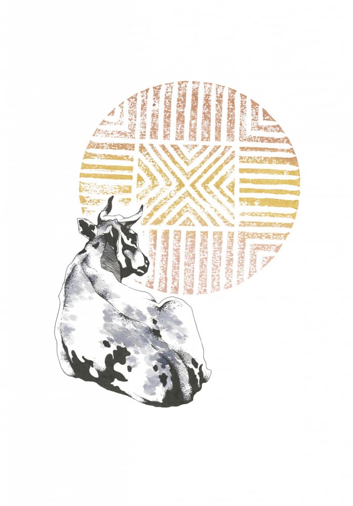 Golden Circle Cow by Roxanne Moolman — canvas wall art