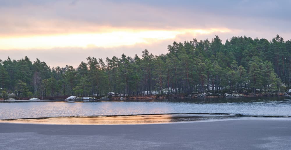 Golden Lake Reflections by Geertjan Plooijer — canvas wall art