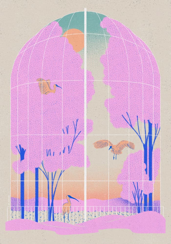 Pink Blossom Aviary by Ada Jarzebowska — canvas wall art