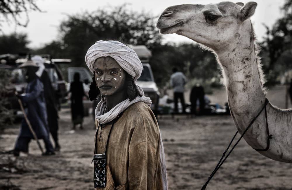 Nomad's Desert Companion by Joxe Inazio Kuesta Garmendia — canvas wall art
