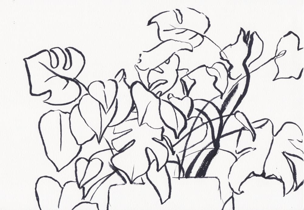 Bold Botanical Outline by Christine Lindstrom — canvas wall art