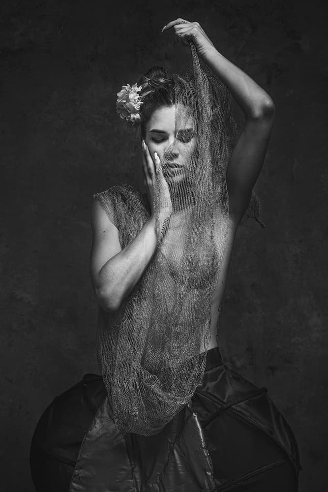 Veiled Floral Serenity by Joan Gil Raga — canvas wall art