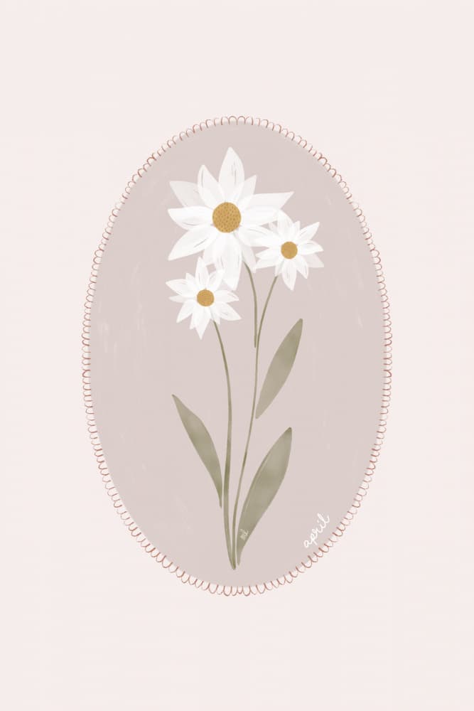 Delicate White Daisies by Menina Lisboa — canvas wall art