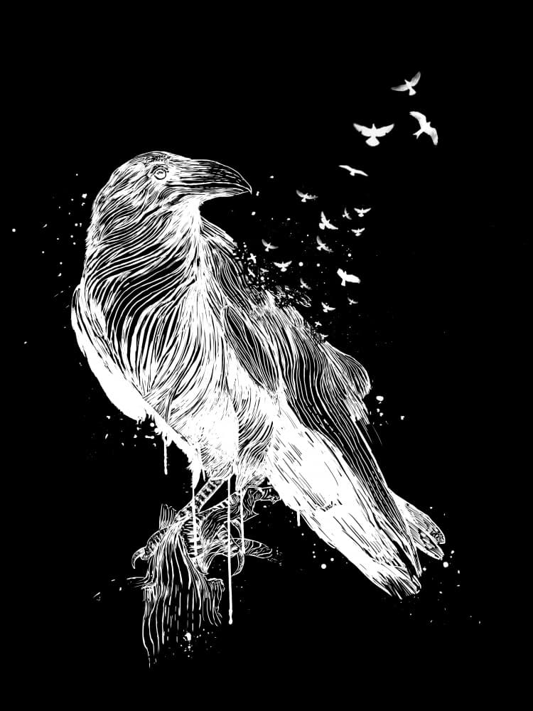 White Crow Freedom by Balazs Solti — canvas wall art