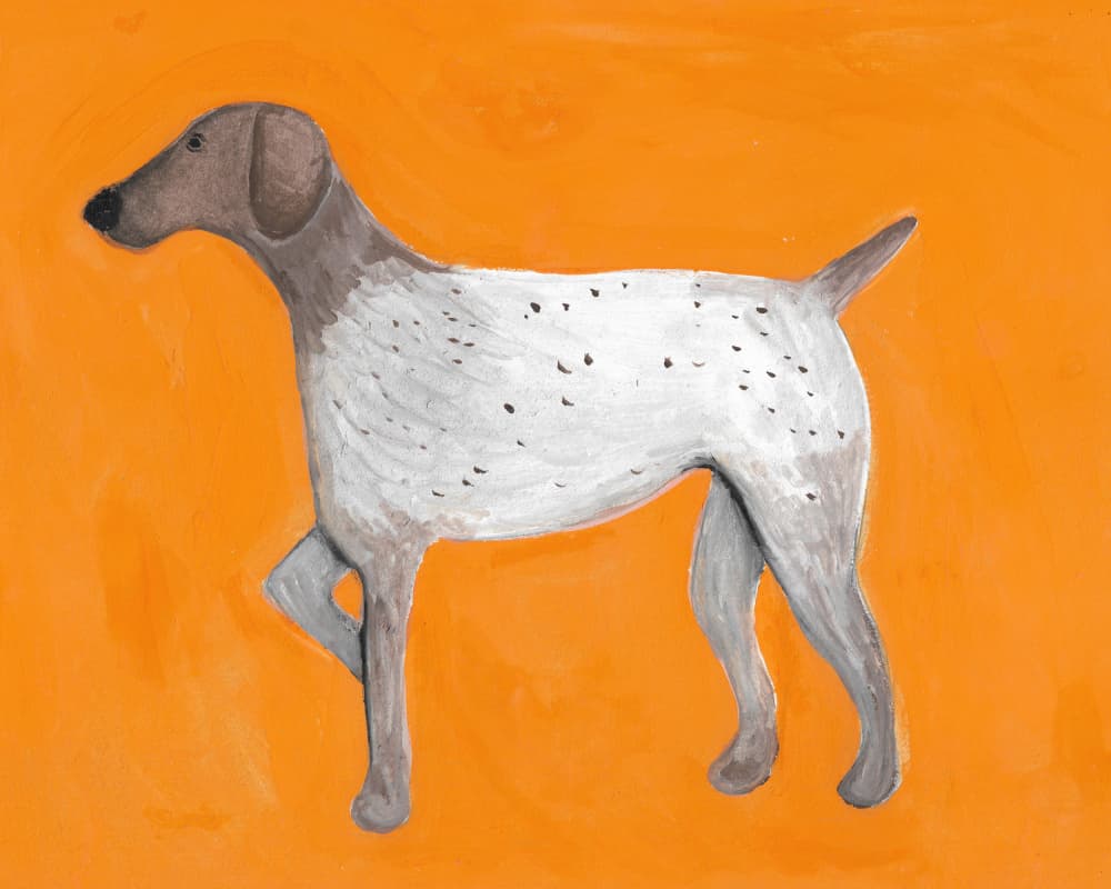 Orange Pointing Dog by Lerin Freyou — canvas wall art