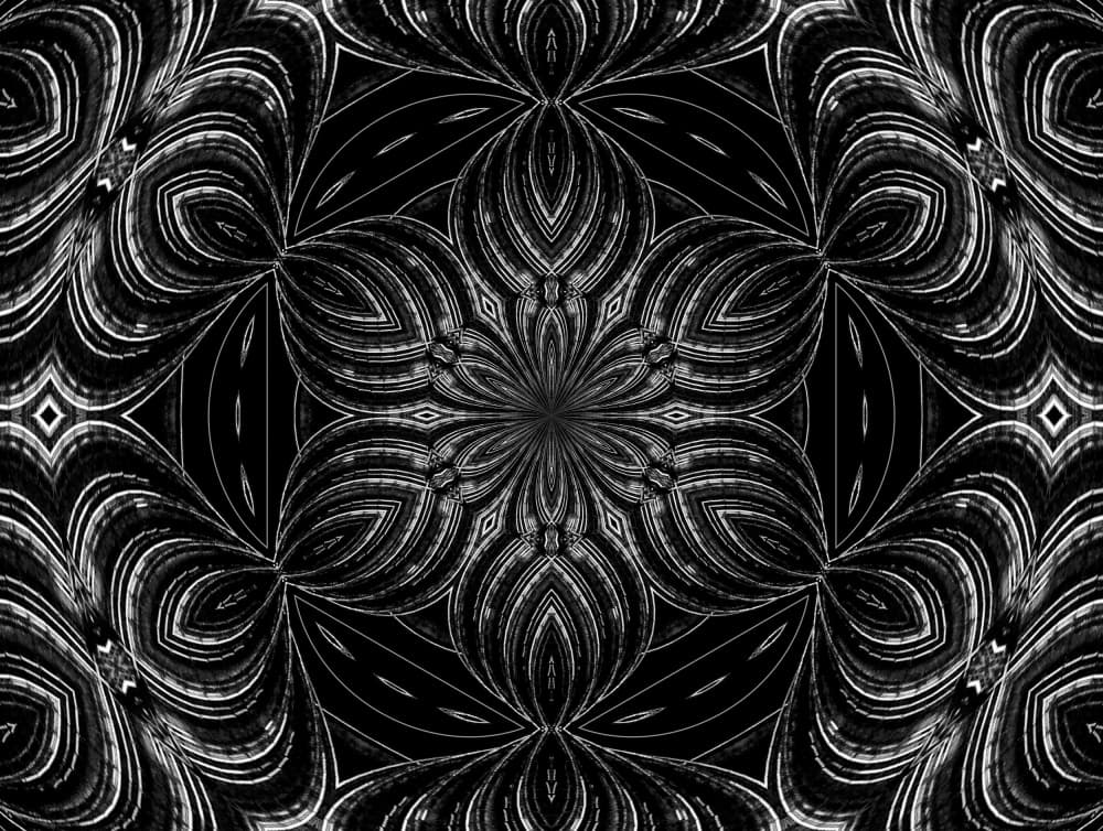 Symmetrical Flower Mandala by Miro Susta — canvas wall art