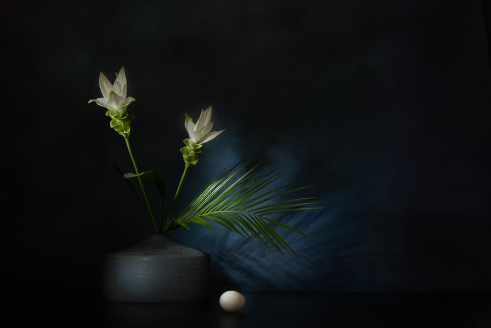 White Flowers Dark Still Life by Saskia Dingemans — canvas wall art