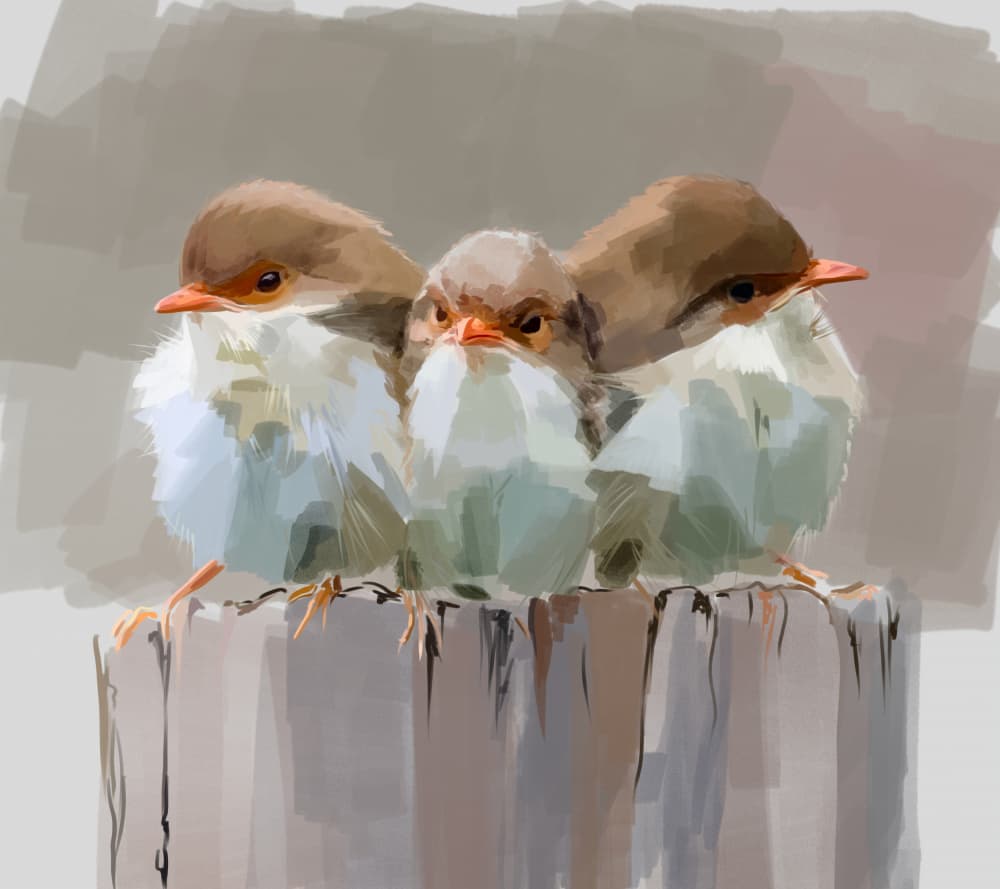 Three Wrens Watching by Emily Kalina — canvas wall art