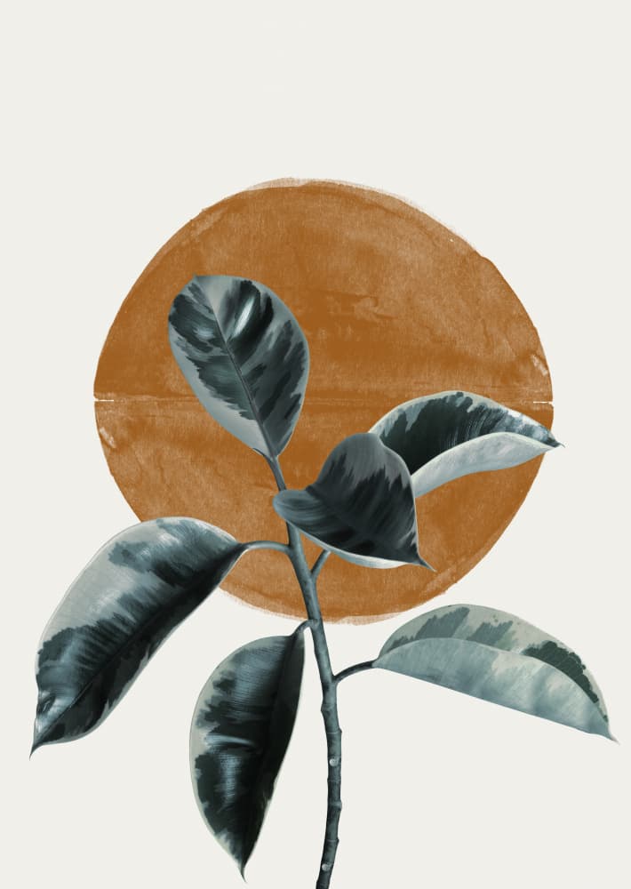 Leaf and Sun by THE MIUUS STUDIO — canvas wall art