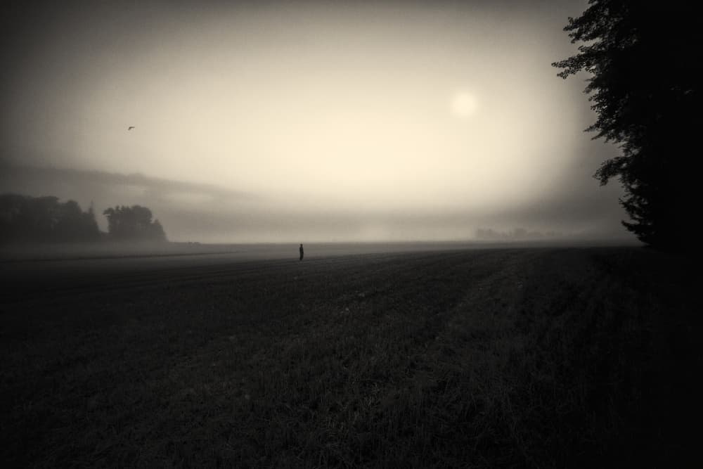 Misty Morning Solitude by Mika Suutari — canvas wall art