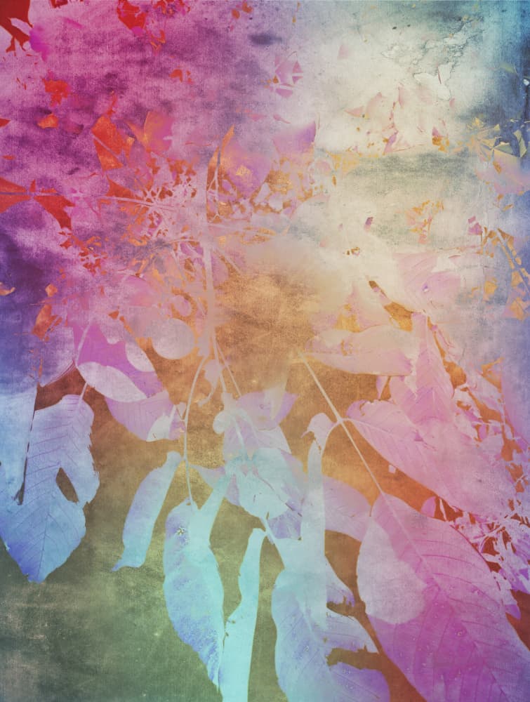 Dreamy Colorful Foliage