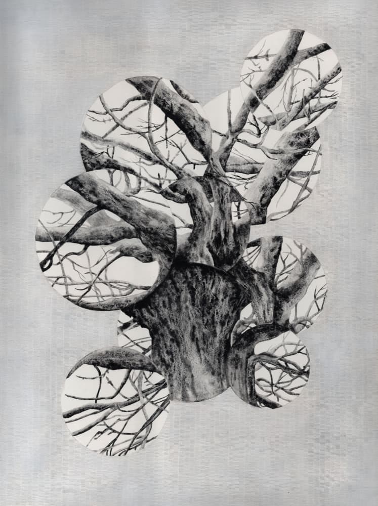 Overlapping Tree Circles by Alex Walsh — canvas wall art