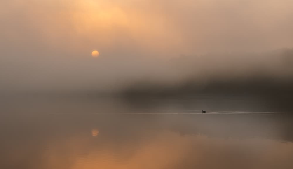 Misty Morning Sun Reflection by Slawomir Kowalczyk AFRP  FIAP  IAAP — canvas wall art