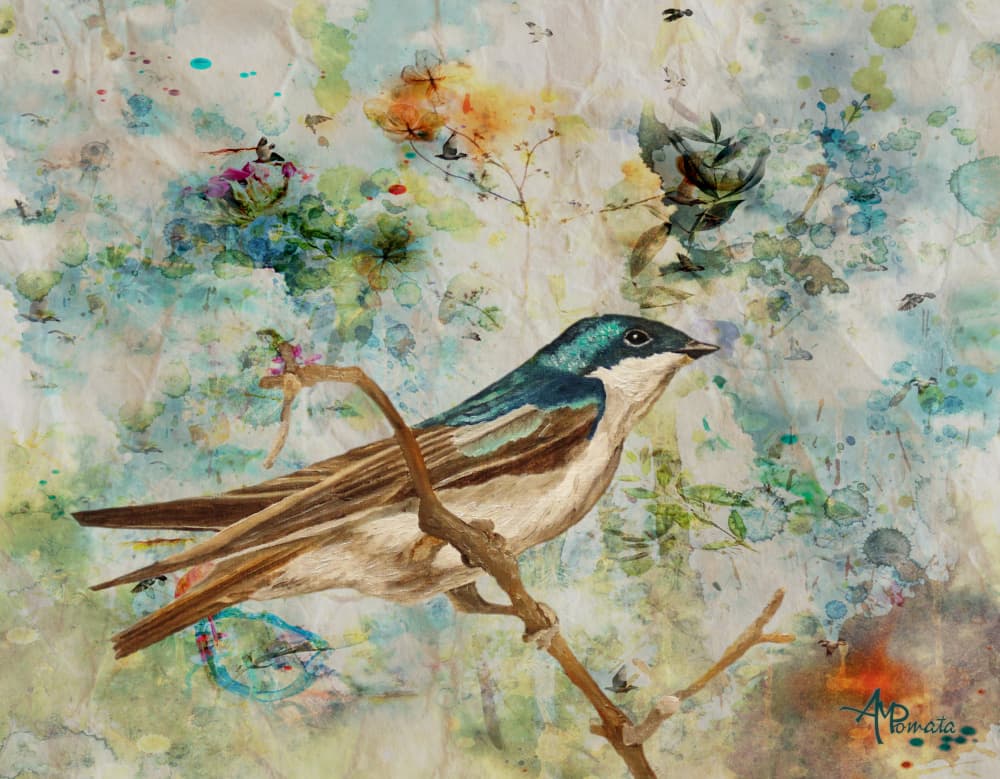 Serene Tree Swallow by Angeles M. Pomata — canvas wall art
